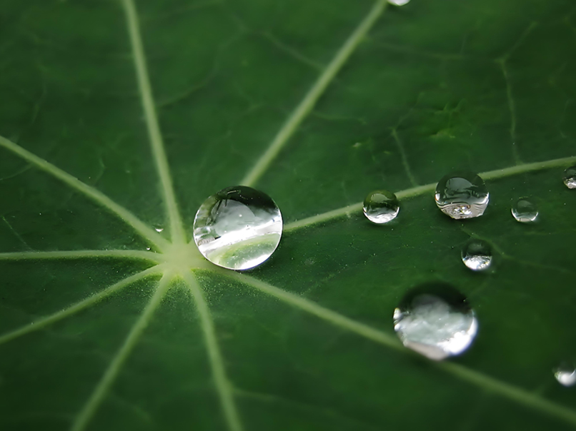 纳米防水涂层可靠吗？