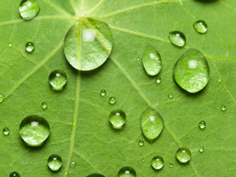 纳米防水涂层的“荷叶效应”是如何实现的？‌