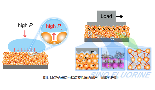 中国科学院兰州化学物理研究所-疏液互联紧密堆积纳米结构设计框架解析